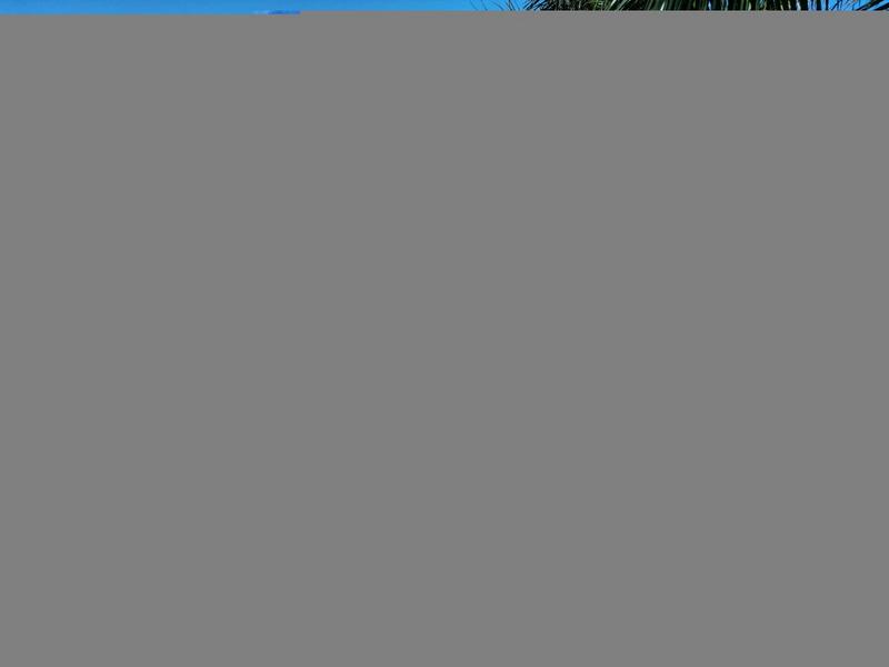 6 Bedroom Property for Sale in Winston Park KwaZulu-Natal