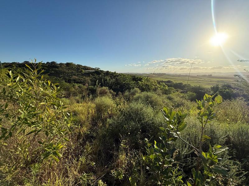 0 Bedroom Property for Sale in Zini River Estate KwaZulu-Natal