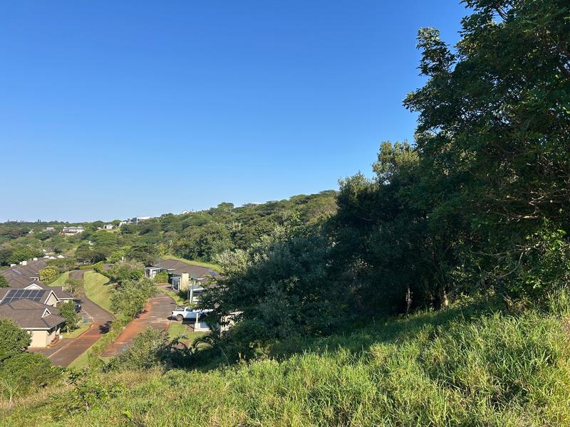 0 Bedroom Property for Sale in Zini River Estate KwaZulu-Natal