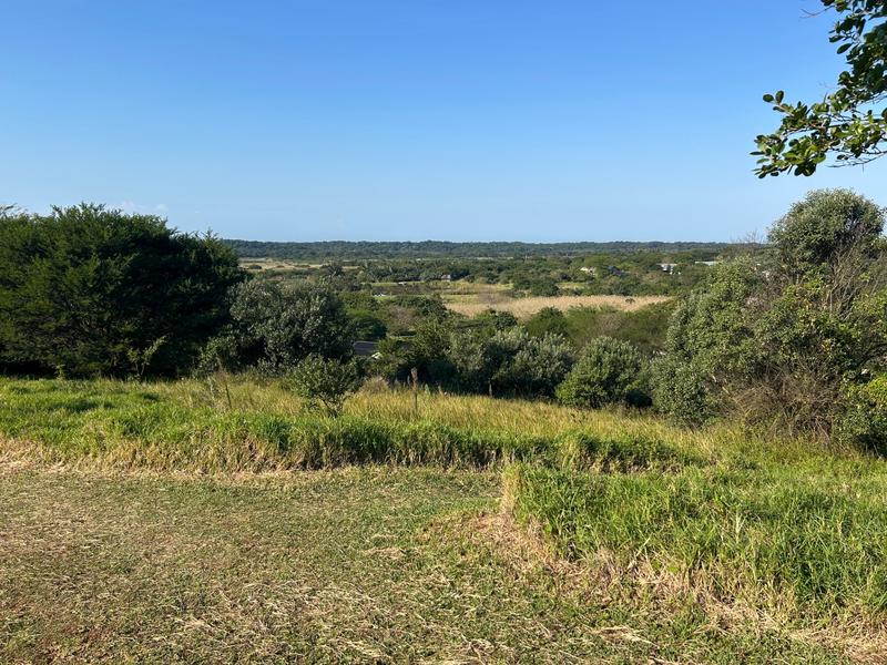 0 Bedroom Property for Sale in Zini River Estate KwaZulu-Natal