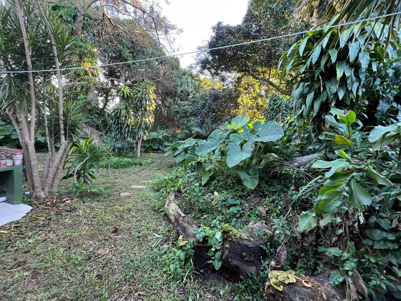 To Let 1 Bedroom Property for Rent in Mtunzini KwaZulu-Natal