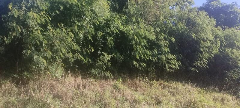 0 Bedroom Property for Sale in Palmiet KwaZulu-Natal