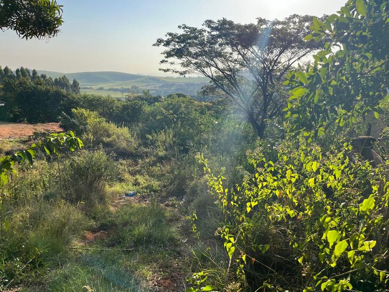 0 Bedroom Property for Sale in Mtunzini KwaZulu-Natal