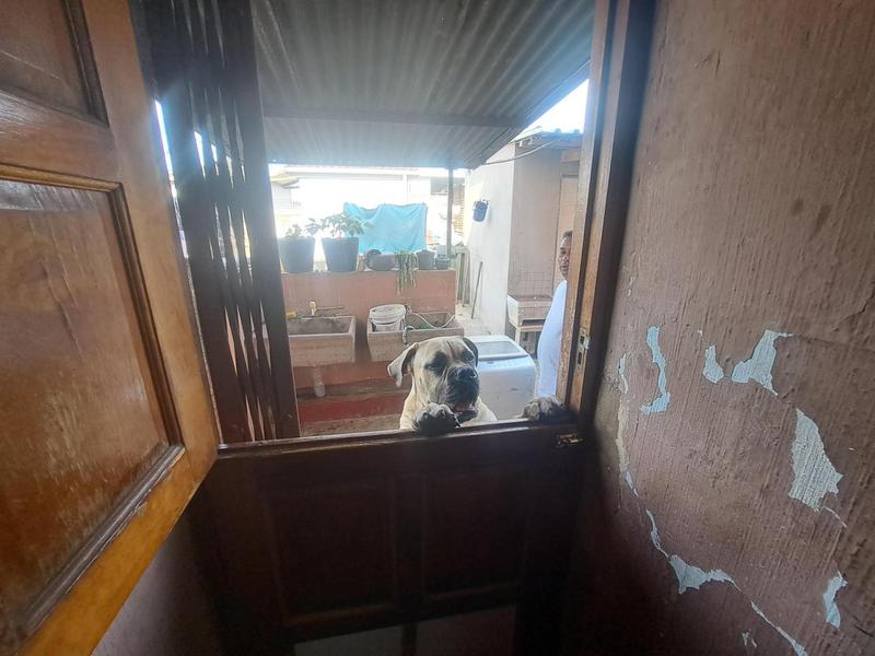 1 Bedroom Property for Sale in Palmview KwaZulu-Natal