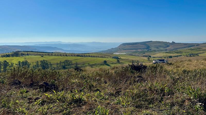 0 Bedroom Property for Sale in Mount Verde KwaZulu-Natal