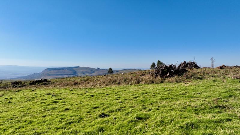 0 Bedroom Property for Sale in Mount Verde KwaZulu-Natal