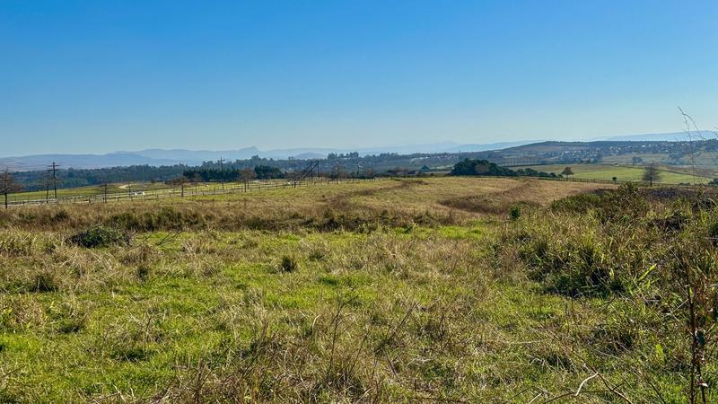 0 Bedroom Property for Sale in Mount Verde KwaZulu-Natal