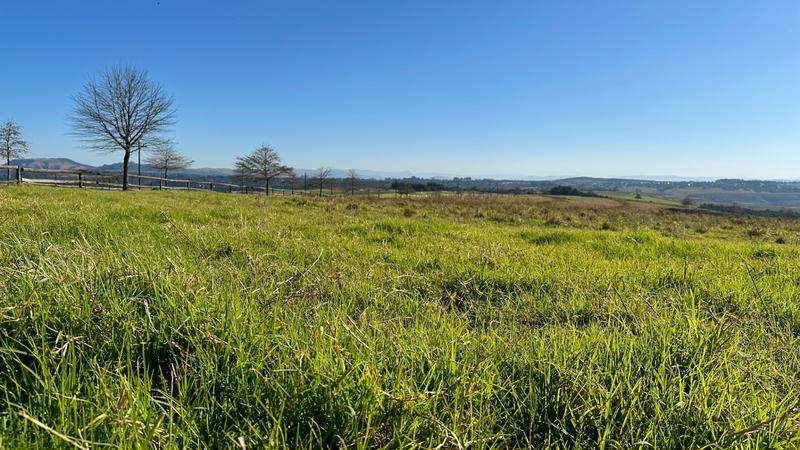 0 Bedroom Property for Sale in Mount Verde KwaZulu-Natal