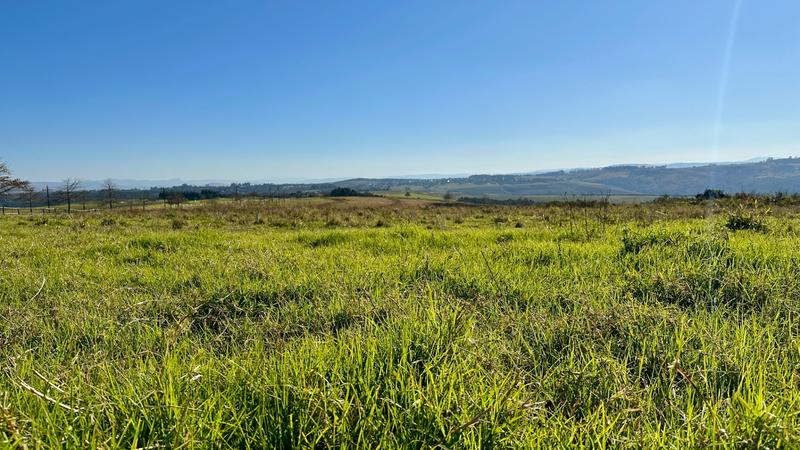 0 Bedroom Property for Sale in Mount Verde KwaZulu-Natal