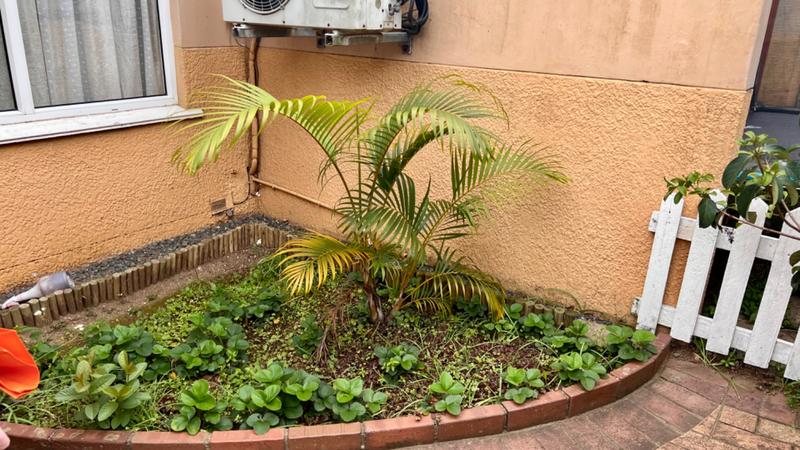 3 Bedroom Property for Sale in Sherwood KwaZulu-Natal