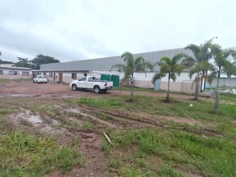 To Let commercial Property for Rent in Gingindlovu KwaZulu-Natal