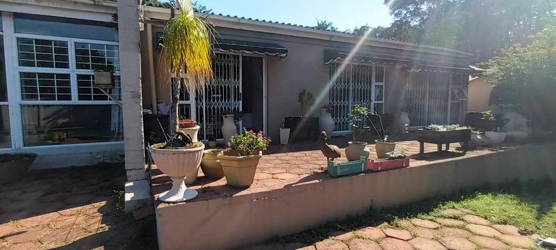 To Let 3 Bedroom Property for Rent in Westville KwaZulu-Natal