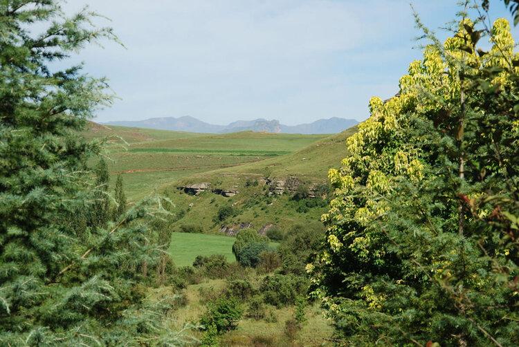 0 Bedroom Property for Sale in Underberg KwaZulu-Natal