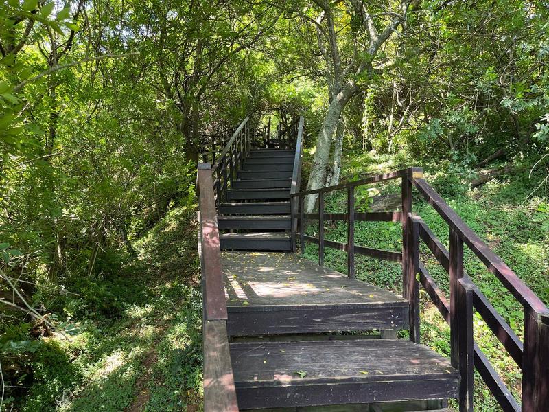 Commercial Property for Sale in Sandfield KwaZulu-Natal