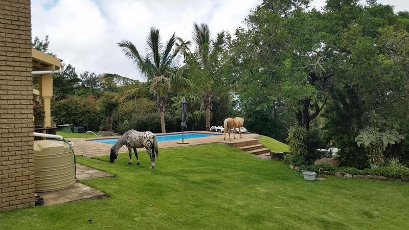 6 Bedroom Property for Sale in Margate KwaZulu-Natal