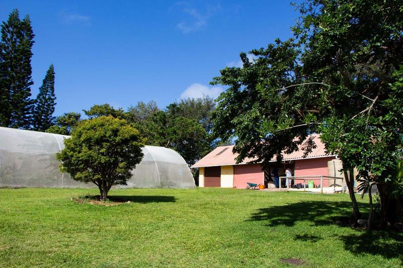 6 Bedroom Property for Sale in Margate KwaZulu-Natal