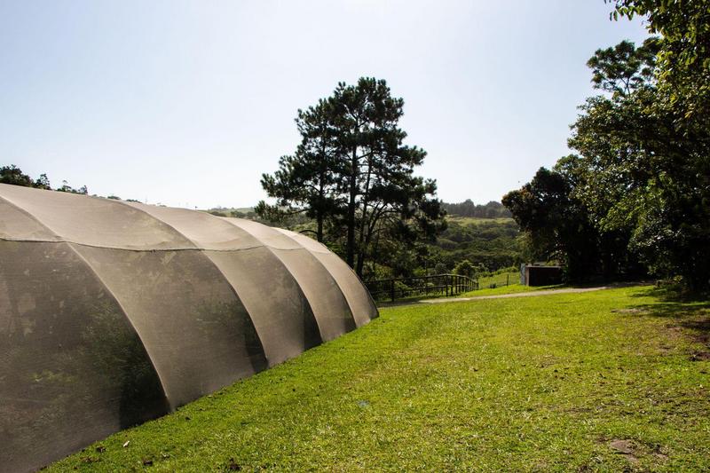 6 Bedroom Property for Sale in Margate KwaZulu-Natal