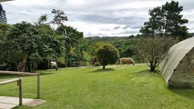 6 Bedroom Property for Sale in Margate KwaZulu-Natal