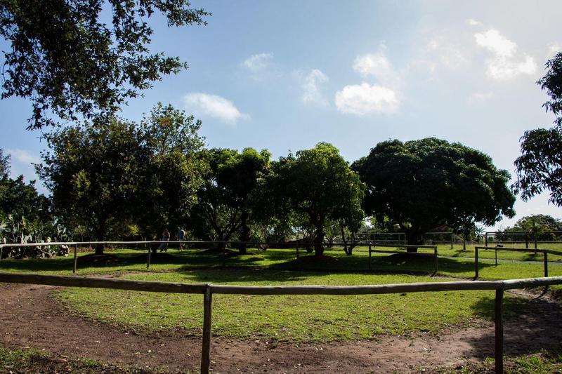 6 Bedroom Property for Sale in Margate KwaZulu-Natal