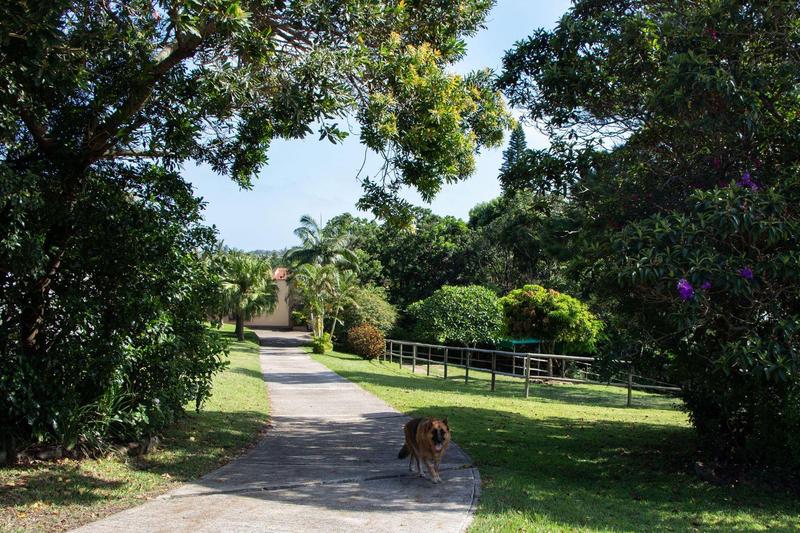 6 Bedroom Property for Sale in Margate KwaZulu-Natal