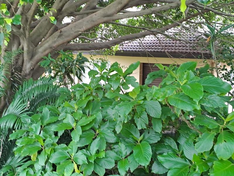 0 Bedroom Property for Sale in Margate KwaZulu-Natal