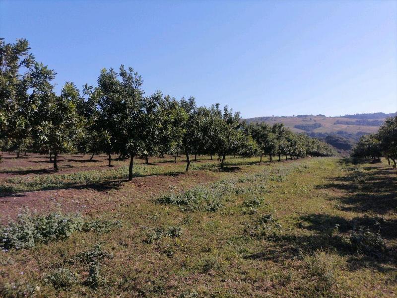 0 Bedroom Property for Sale in Leisure Bay KwaZulu-Natal