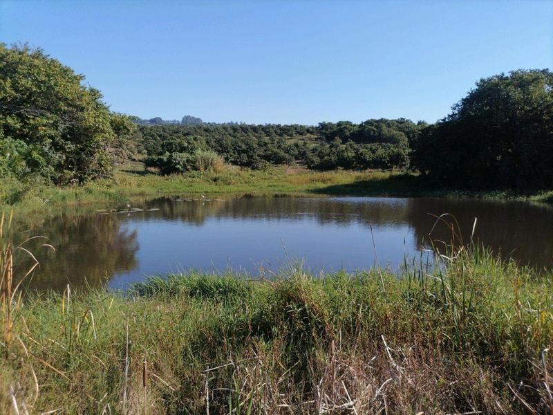 0 Bedroom Property for Sale in Leisure Bay KwaZulu-Natal