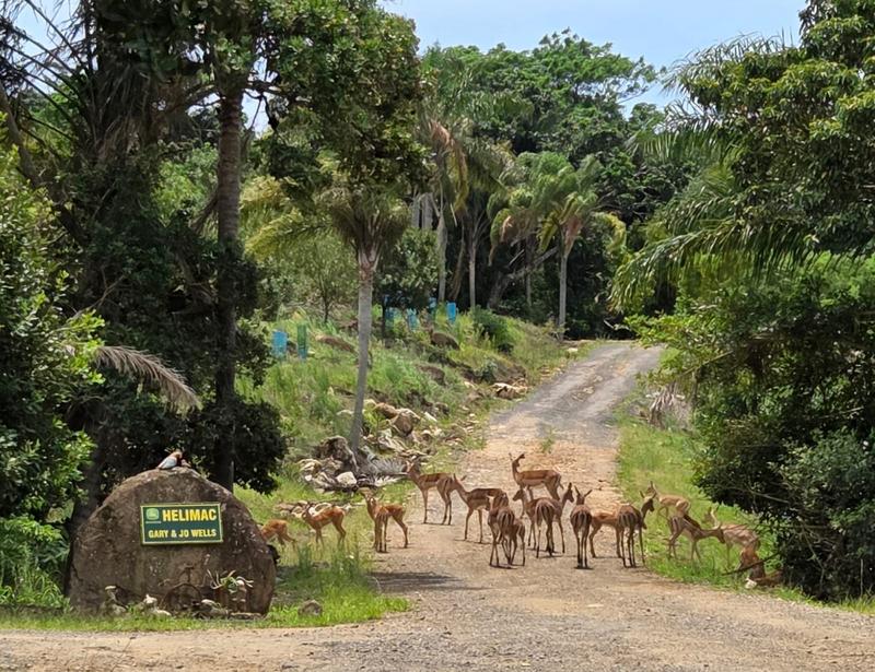 Commercial Property for Sale in Leisure Bay KwaZulu-Natal