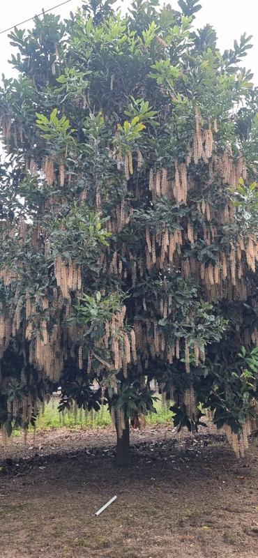 Commercial Property for Sale in Leisure Bay KwaZulu-Natal