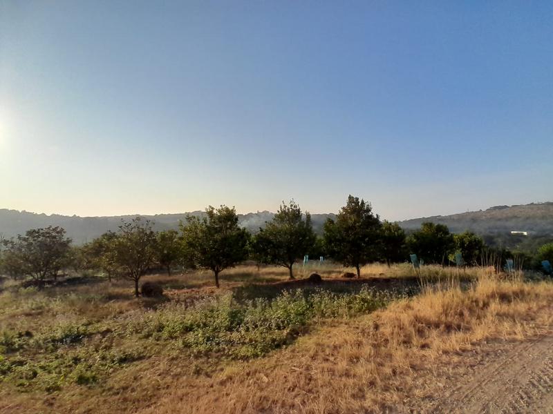 24 Bedroom Property for Sale in Leisure Bay KwaZulu-Natal
