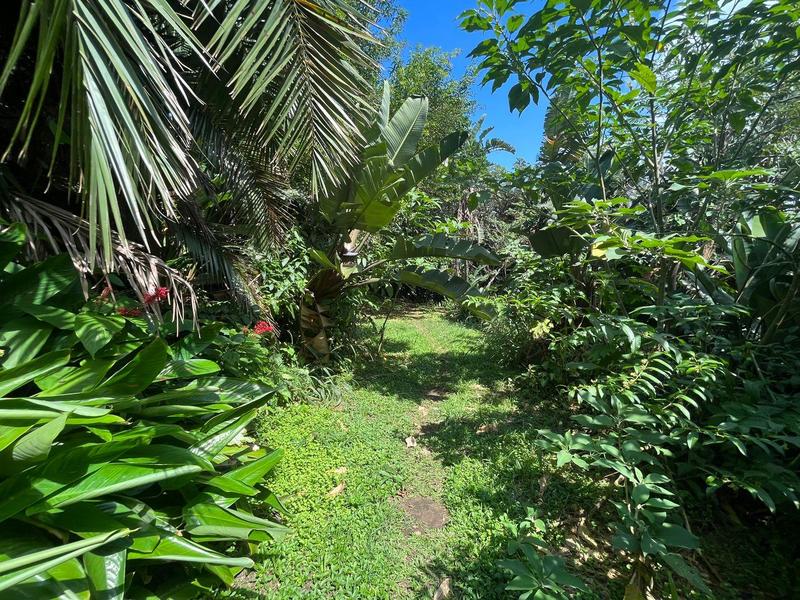 1 Bedroom Property for Sale in Ramsgate KwaZulu-Natal