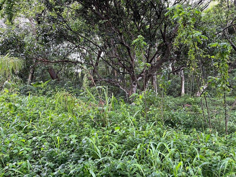 0 Bedroom Property for Sale in Umtentweni KwaZulu-Natal