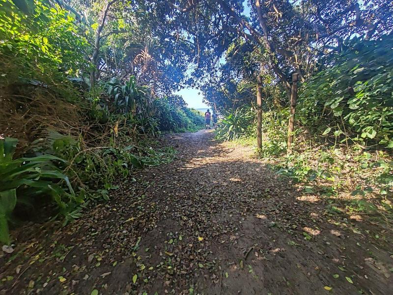 8 Bedroom Property for Sale in Umtentweni KwaZulu-Natal