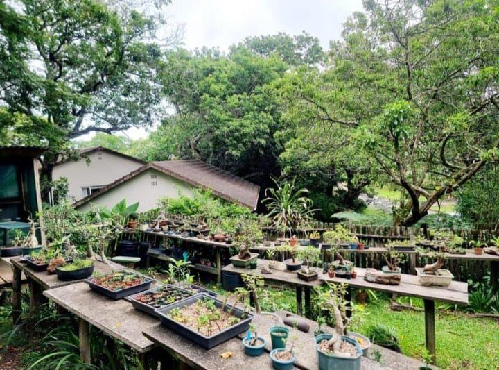 3 Bedroom Property for Sale in Uvongo KwaZulu-Natal