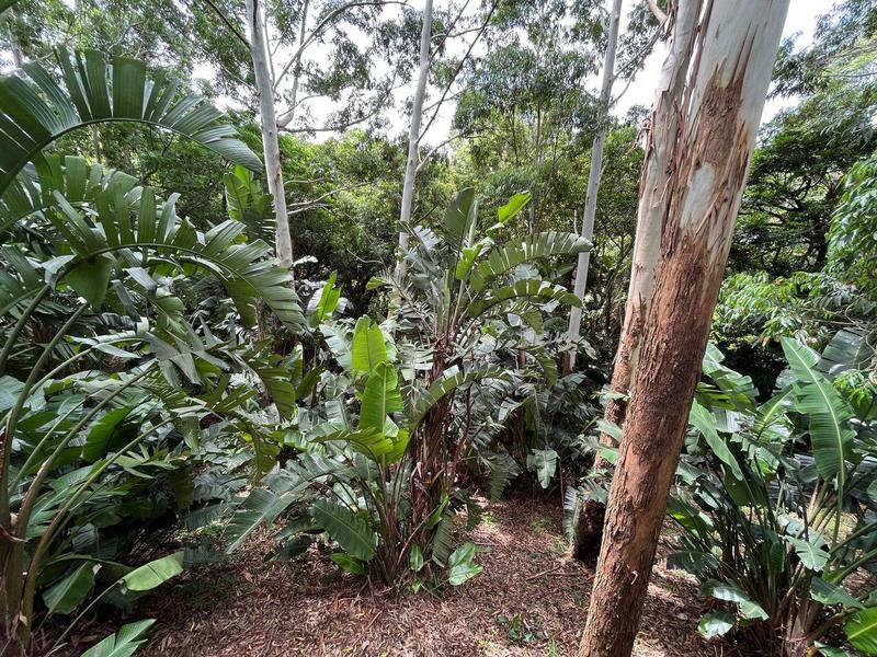 4 Bedroom Property for Sale in Banners Rest KwaZulu-Natal