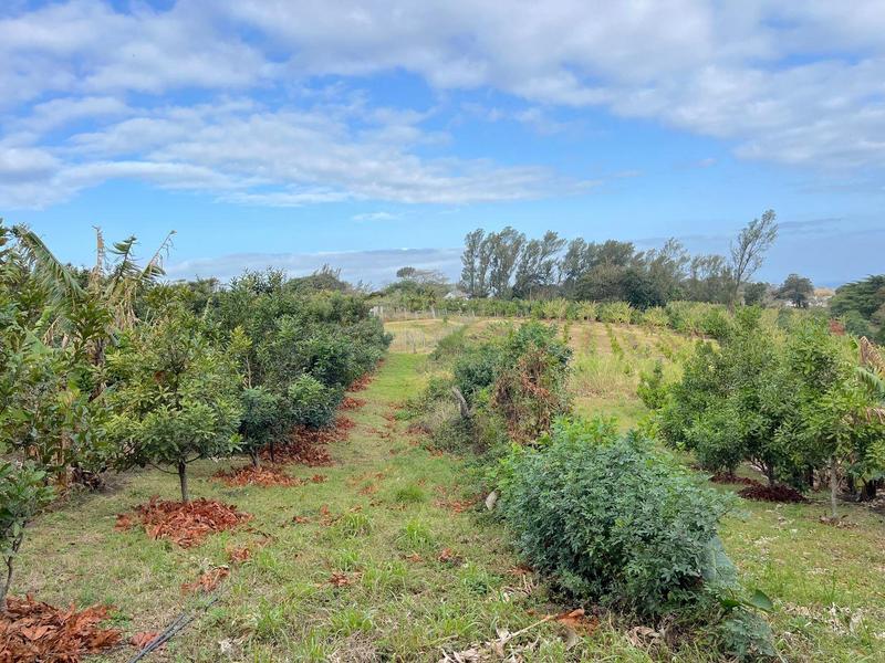 5 Bedroom Property for Sale in Banners Rest KwaZulu-Natal