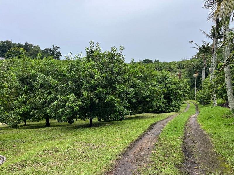 5 Bedroom Property for Sale in Banners Rest KwaZulu-Natal