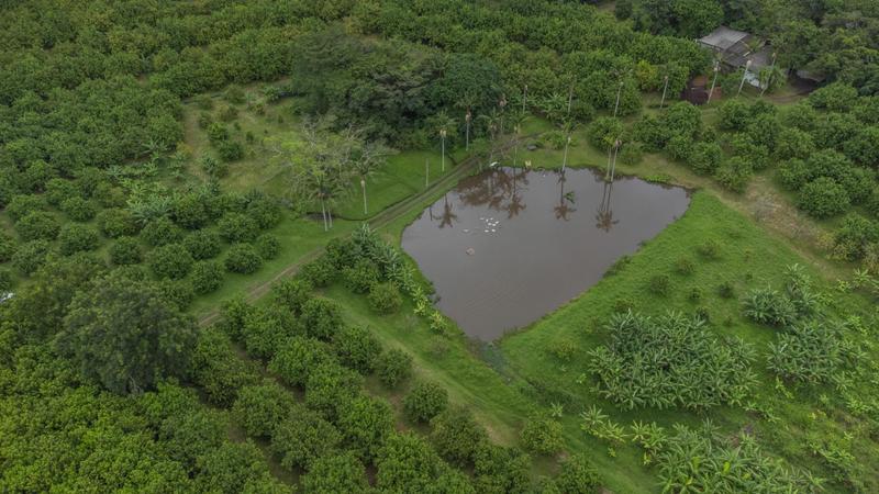 5 Bedroom Property for Sale in Banners Rest KwaZulu-Natal