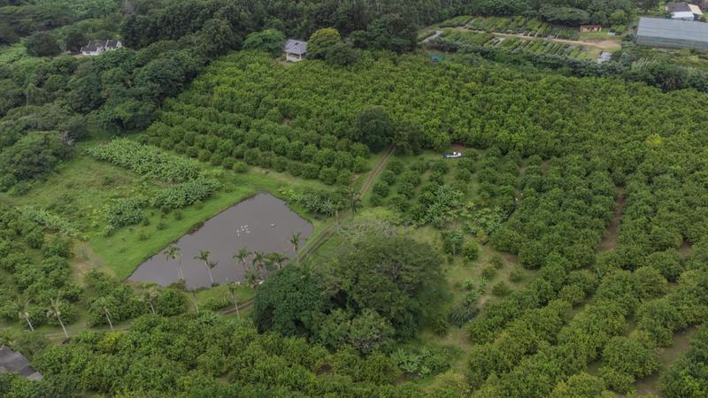 5 Bedroom Property for Sale in Banners Rest KwaZulu-Natal