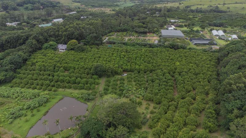 5 Bedroom Property for Sale in Banners Rest KwaZulu-Natal