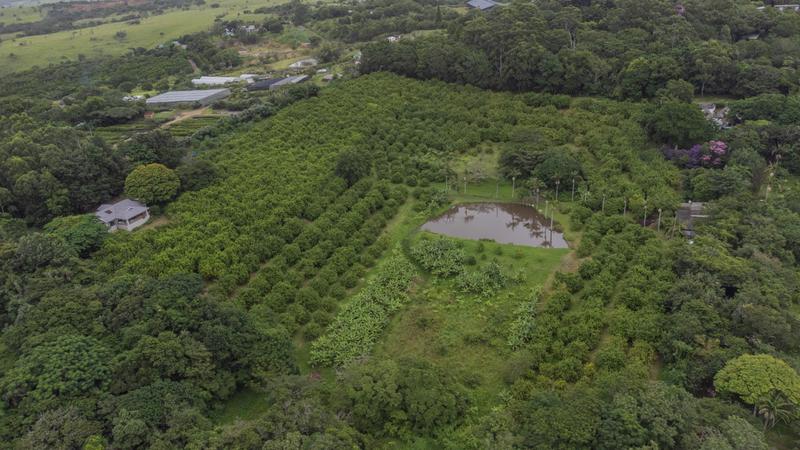 5 Bedroom Property for Sale in Banners Rest KwaZulu-Natal