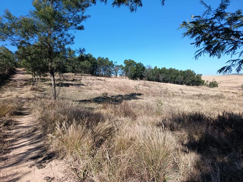 0 Bedroom Property for Sale in New Hanover Rural KwaZulu-Natal