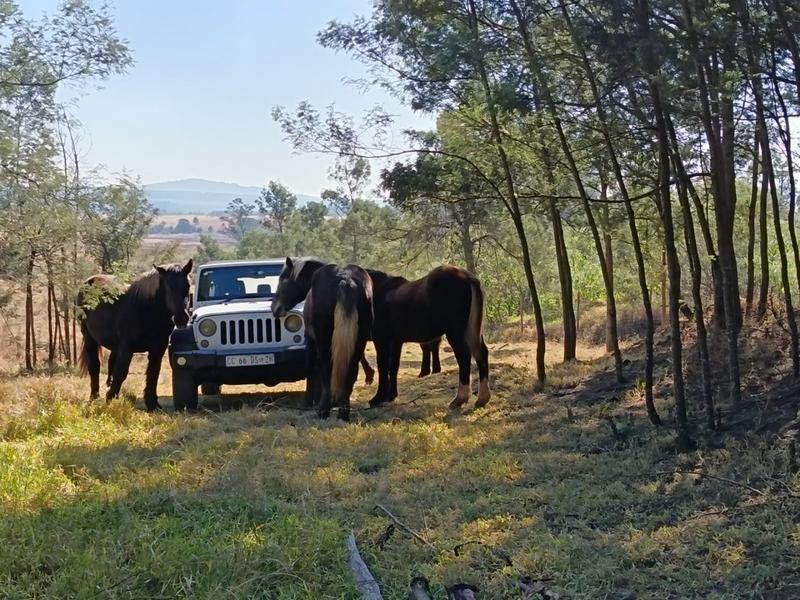 0 Bedroom Property for Sale in New Hanover Rural KwaZulu-Natal