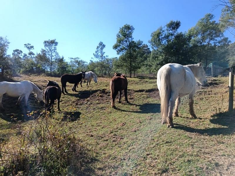 0 Bedroom Property for Sale in New Hanover Rural KwaZulu-Natal