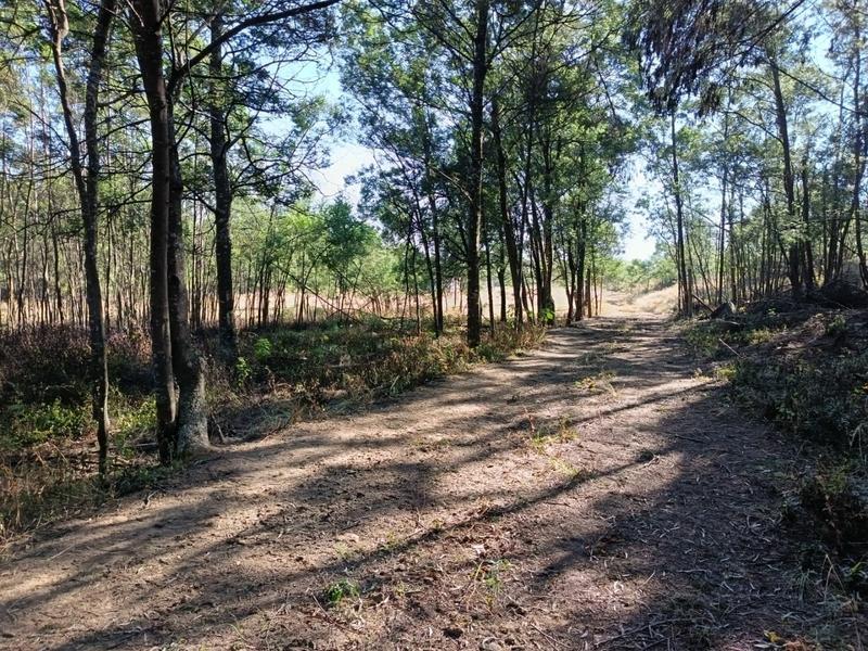 0 Bedroom Property for Sale in New Hanover Rural KwaZulu-Natal