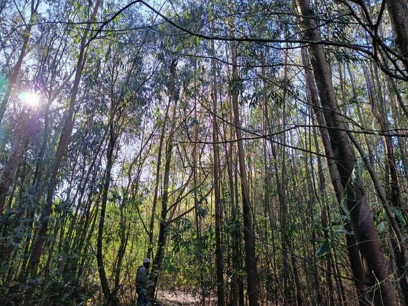 0 Bedroom Property for Sale in New Hanover Rural KwaZulu-Natal