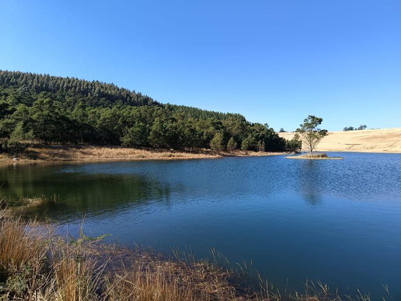 0 Bedroom Property for Sale in New Hanover Rural KwaZulu-Natal