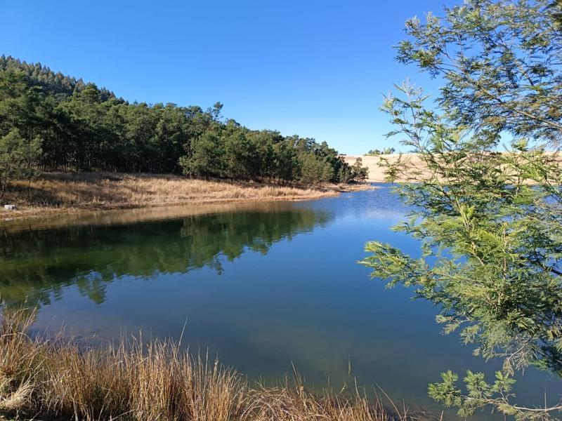 0 Bedroom Property for Sale in New Hanover Rural KwaZulu-Natal