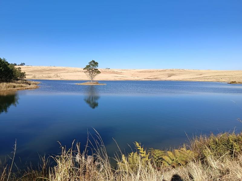 0 Bedroom Property for Sale in New Hanover Rural KwaZulu-Natal
