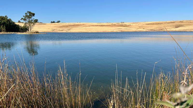 0 Bedroom Property for Sale in New Hanover Rural KwaZulu-Natal